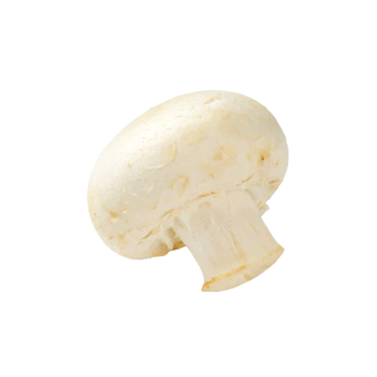 White button Mushrooms